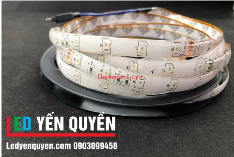 Led dây chạy ic 24v cuộn 5m tự chạy 